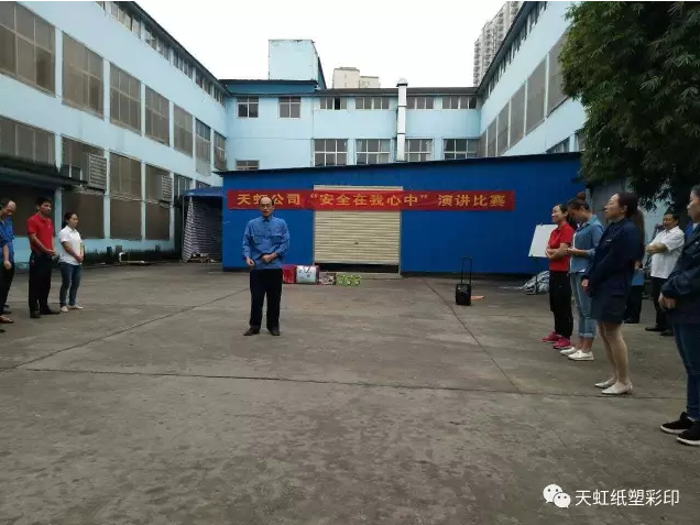 仿石漆效果圖